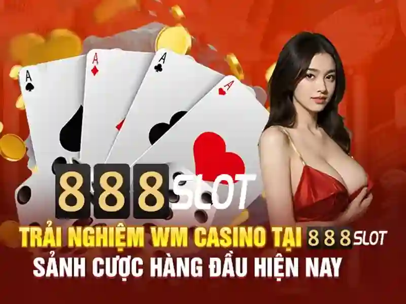 Trải nghiệm người dùng và phản hồi cộng đồng