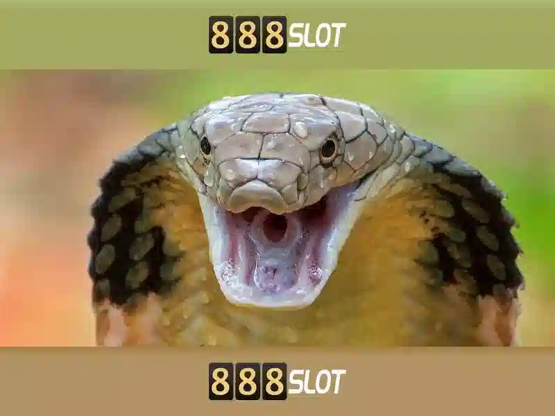 Tại sao chọn 888slot cho trải nghiệm chơi slot