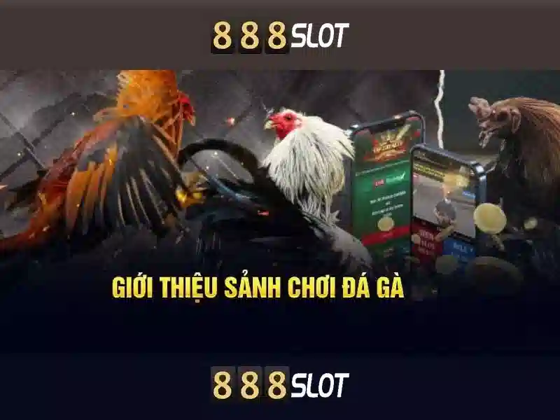 Cac san pham va dich vu chinh cua gold 888 slot Cac san pham va dich vu chinh cua gold 888 slot