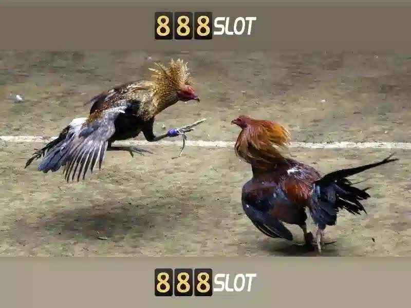 slot 888 ฝาก10รับ100 – Chủ đề tổng quan và giá trị cốt lõi