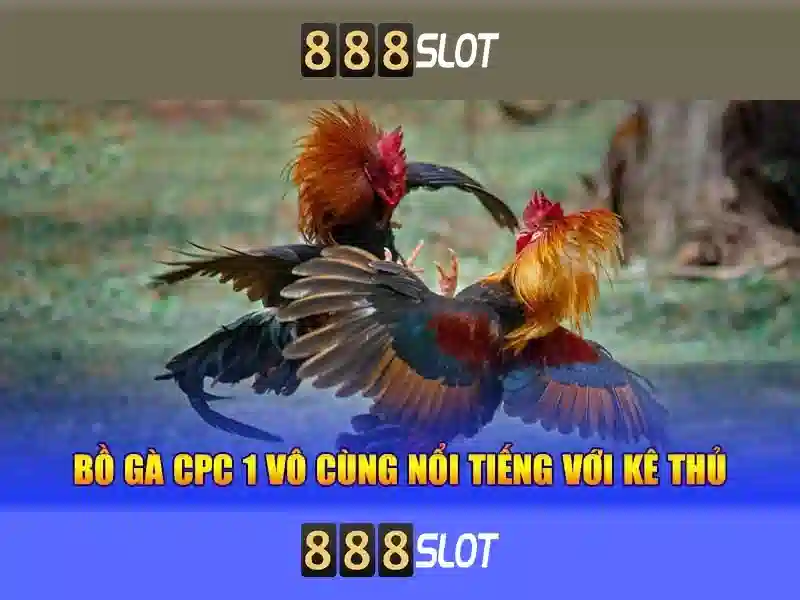 slot gacor 888 – Câu chuyện thương hiệu và trải nghiệm đầy hứa hẹn Soi kèo hiệp 1
