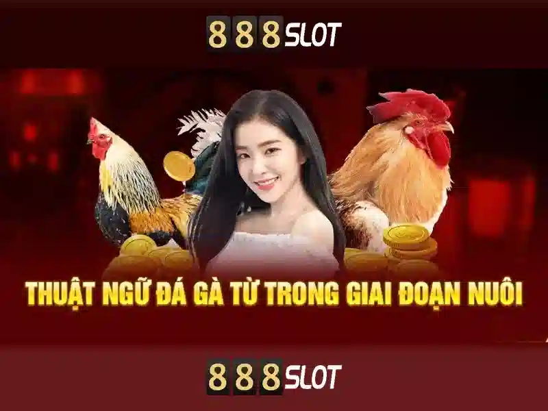Tính năng nổi bật của 888slot