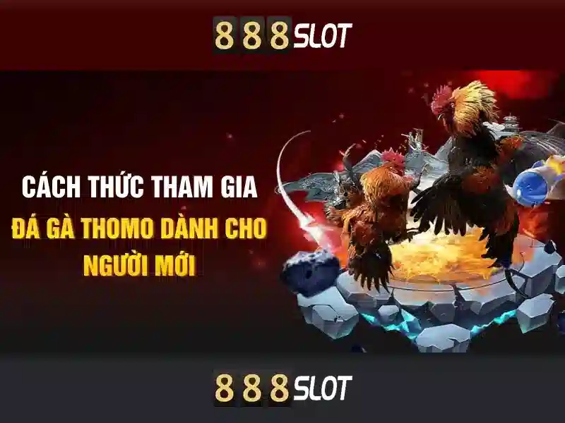 Soi kèo hiệp 1