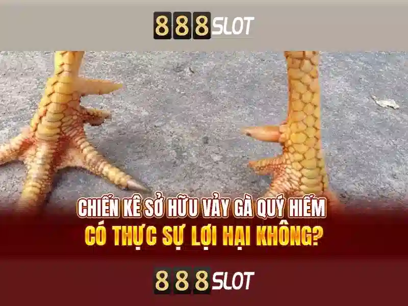Trải nghiệm trò chơi đa dạng 