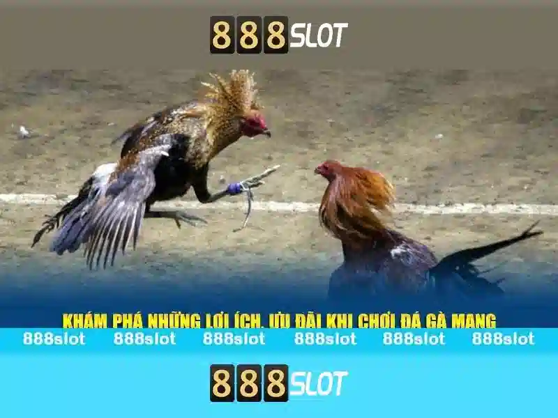 Soi kèo hiệp 1