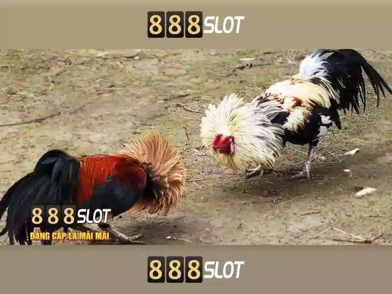 An toàn và trách nhiệm chơi\n\n