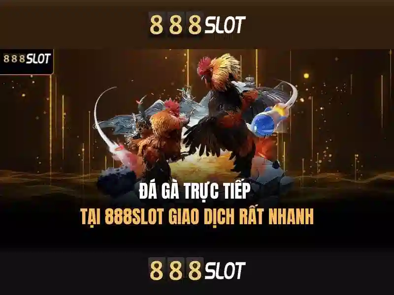 Các tính năng nổi bật