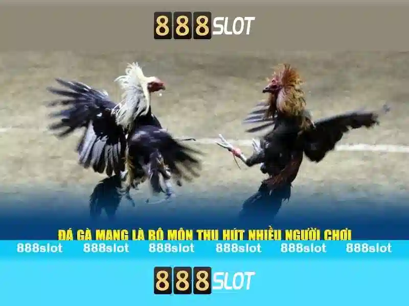 ng 888 slot – Trải nghiệm và cạnh tranh với pg slot wallet 888 Soi kèo hiệp 1