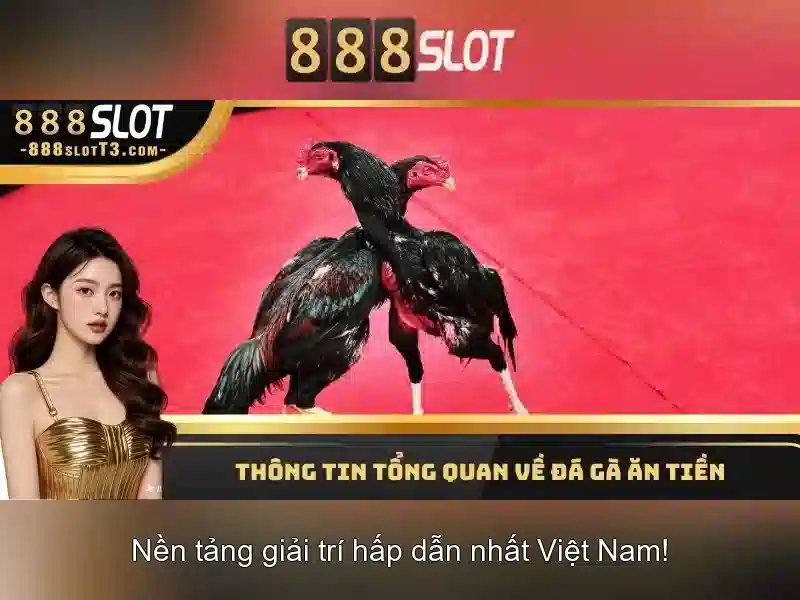 Khuyến mãi và thanh toán Khuyến mãi và thanh toán