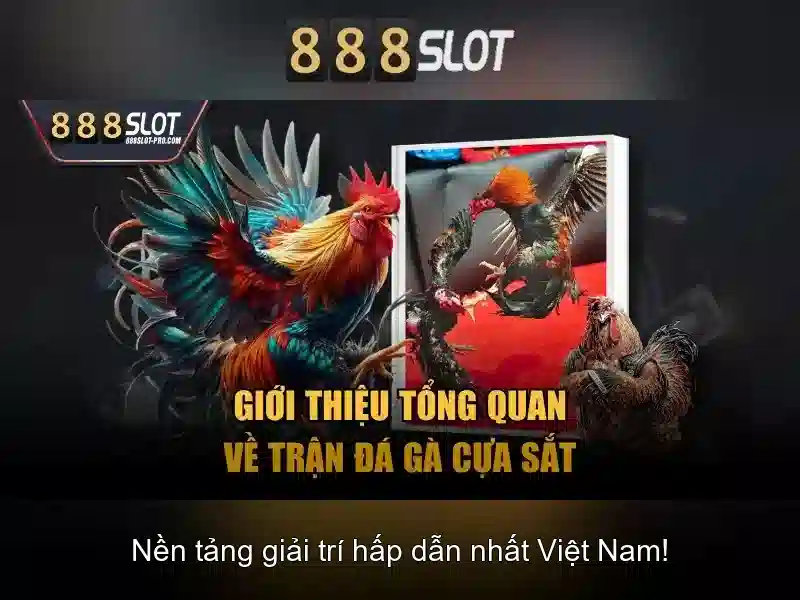 Khuyến mãi và thanh toán an toàn