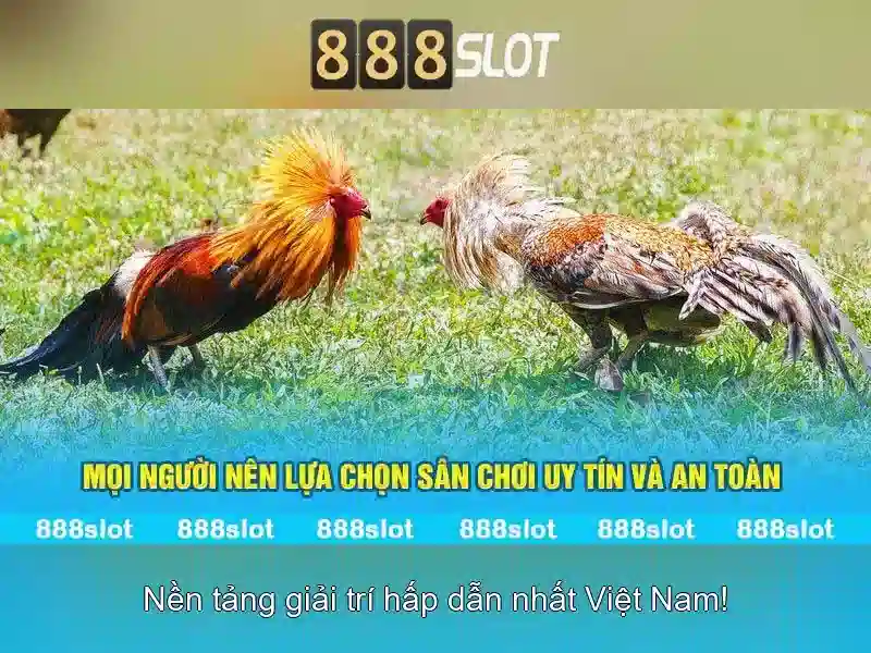 An toàn, thanh toán và hỗ trợ khách hàng