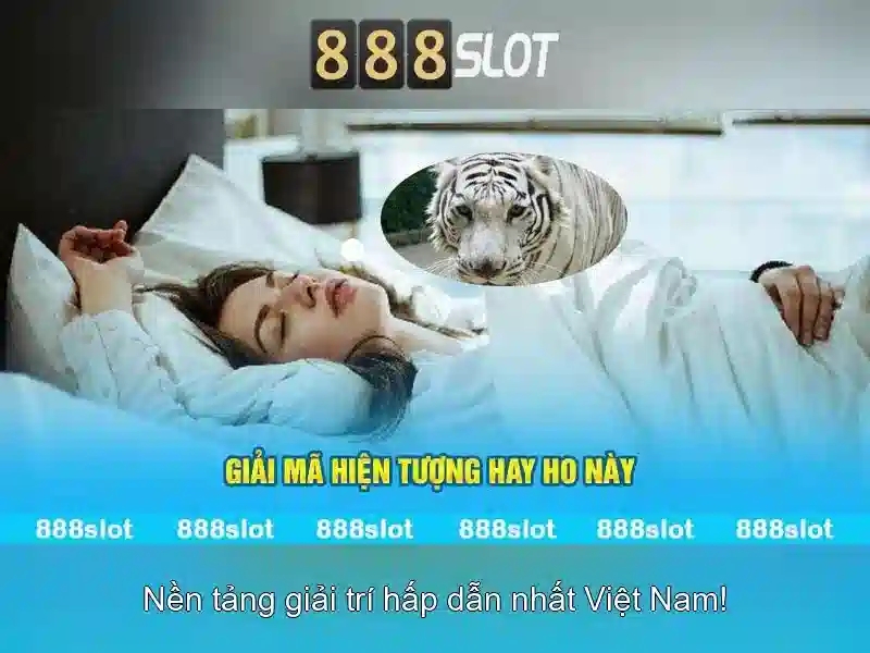 Phản hồi người dùng và cộng đồng ng 888 slot Phản hồi người dùng và cộng đồng ng 888 slot