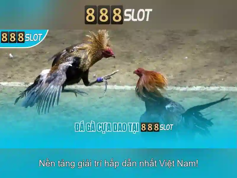 Trải nghiệm di động và bảo mật