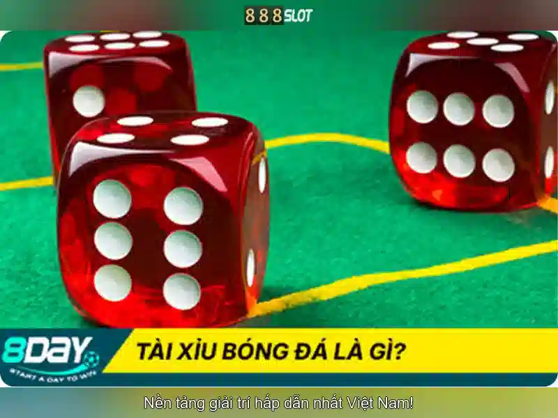 Trải nghiệm người dùng và phản hồi cộng đồng