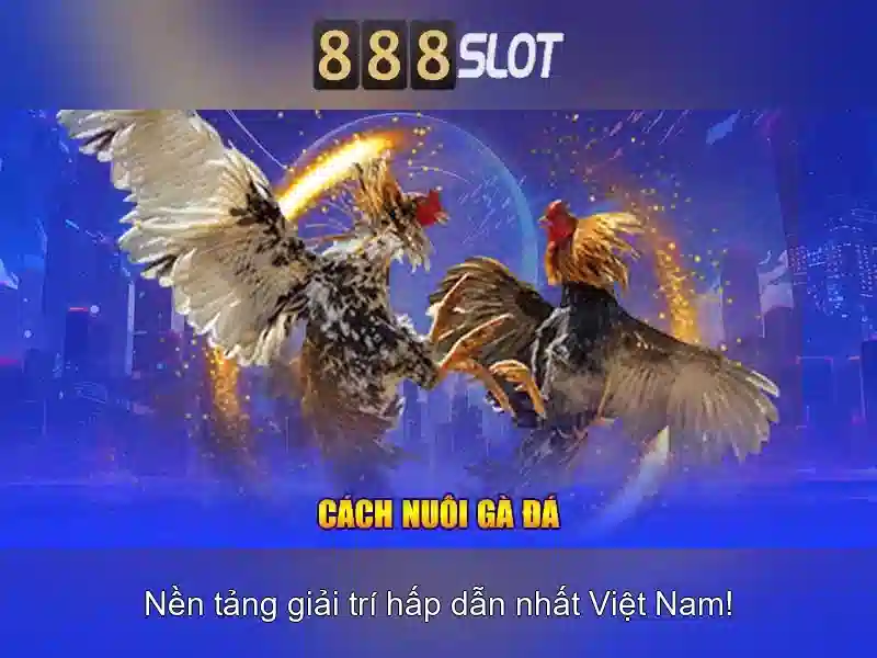 888slot – Nền tảng casino slot trực tuyến đáng chú ý